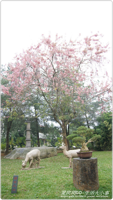 中台禪寺：【南投/埔里】中台禪寺