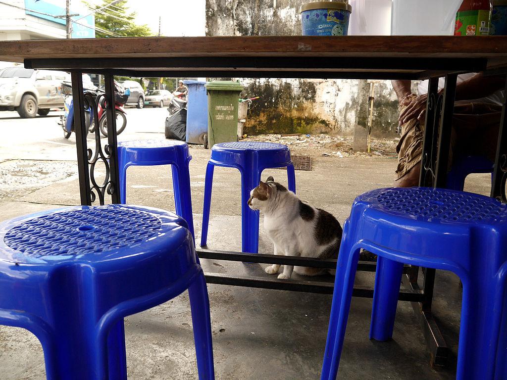 09-泰國普吉島 跟著計程車司機吃美食 吳酸酸.JPG